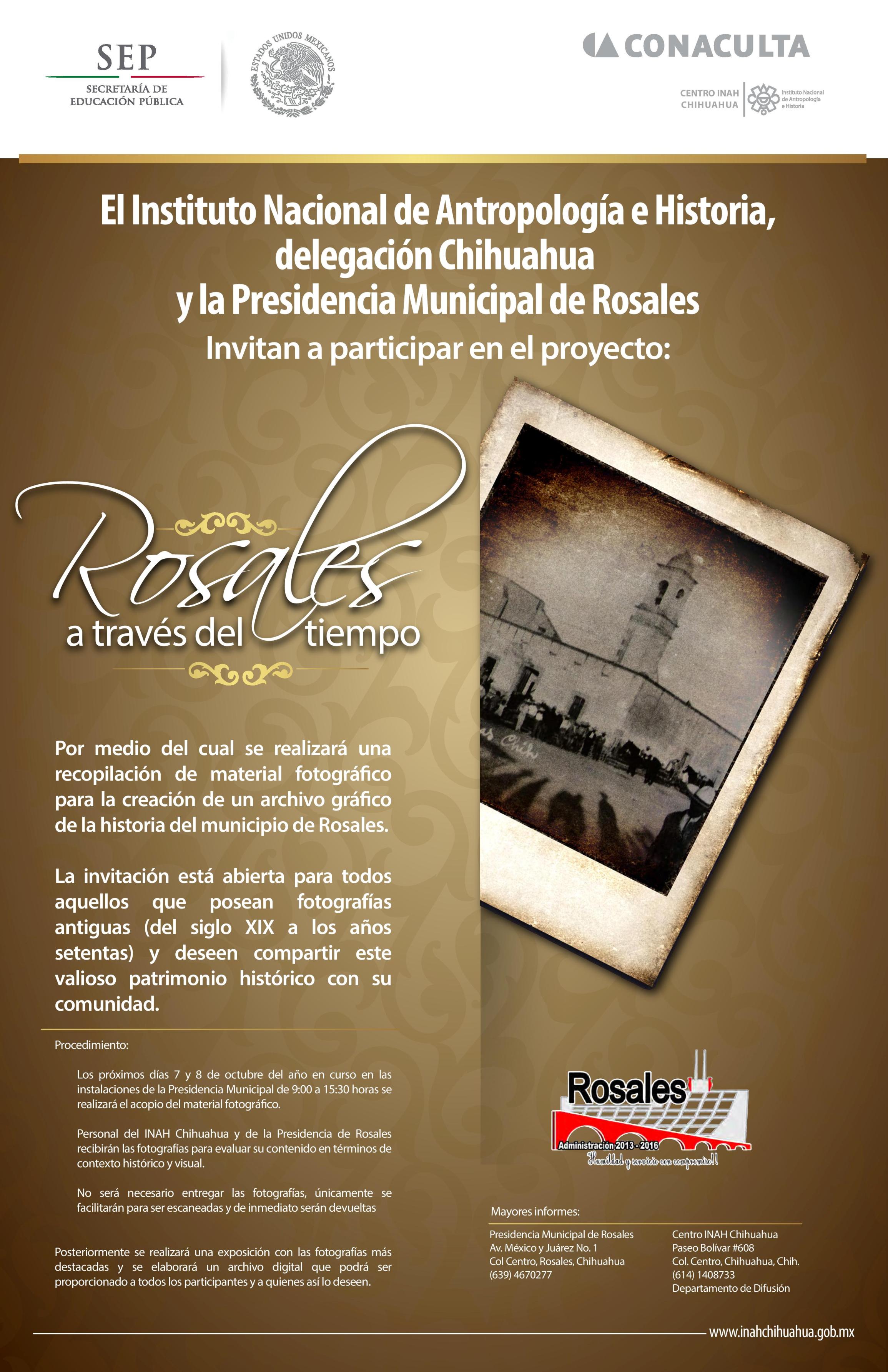 fotos rosales 